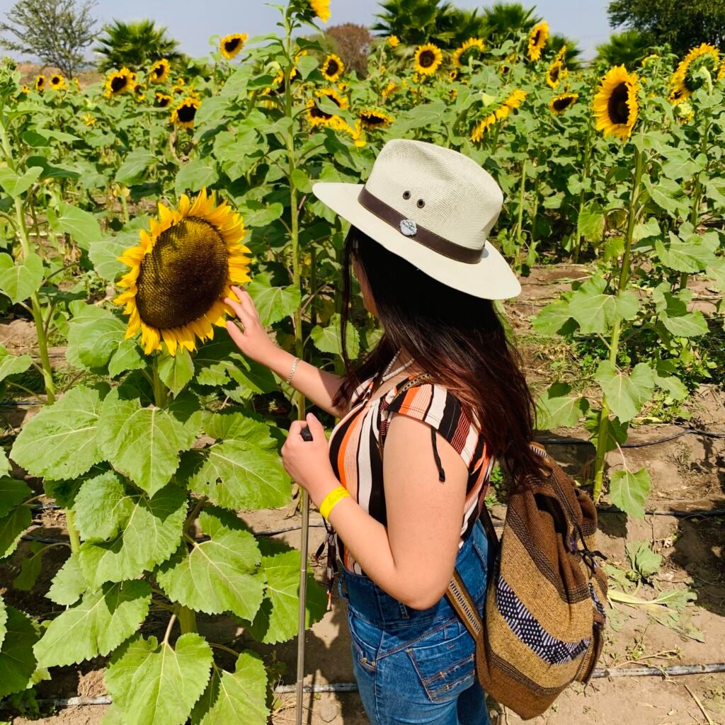 La imagen muestra a perla de perfil, tocando suavemente un girasol grande en un campo lleno de girasoles. Lleva un sombrero de paja con una cinta marrón, una camiseta sin mangas con rayas verticales en colores marrón, blanco, y negro, y un par de jeans. También lleva una mochila tejida en tonos marrón, beige y negro. Perla tiene el cabello largo y suelto, y un bastón blanco en una mano, lo que indica que tiene discapacidad visual. El campo está lleno de girasoles altos y verdes con flores amarillas brillantes, extendiéndose en la distancia hasta donde alcanza la vista. El día es soleado y el cielo parece despejado, creando una atmósfera cálida y vibrante.